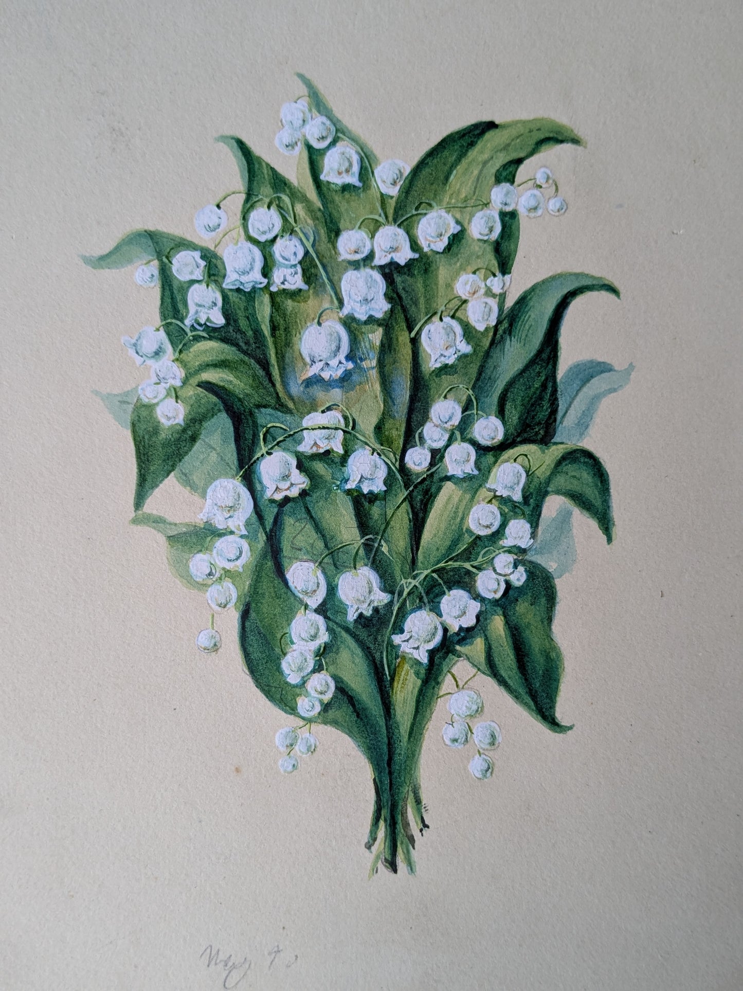3 antique flower paintings