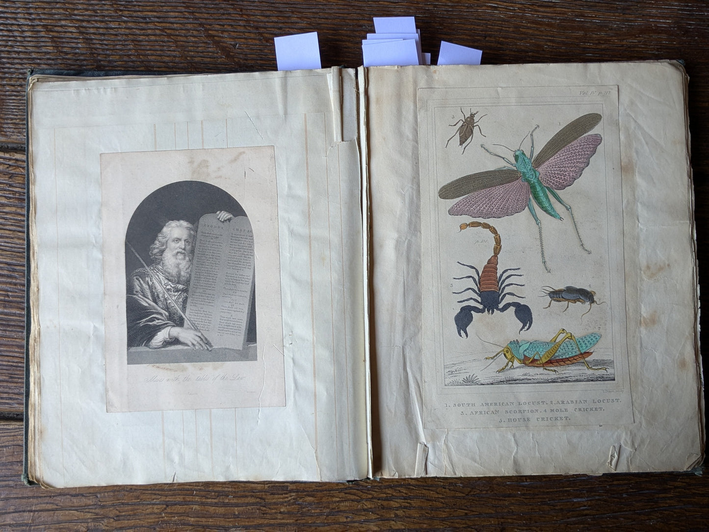 Antique scrap album 1845