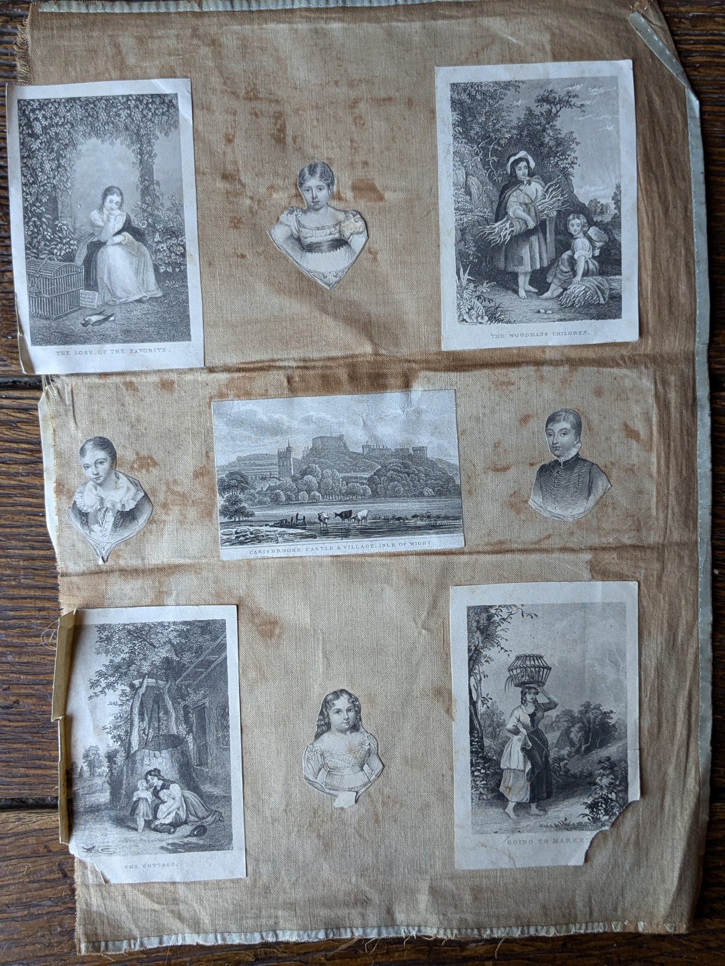 Antique sea shells paintings