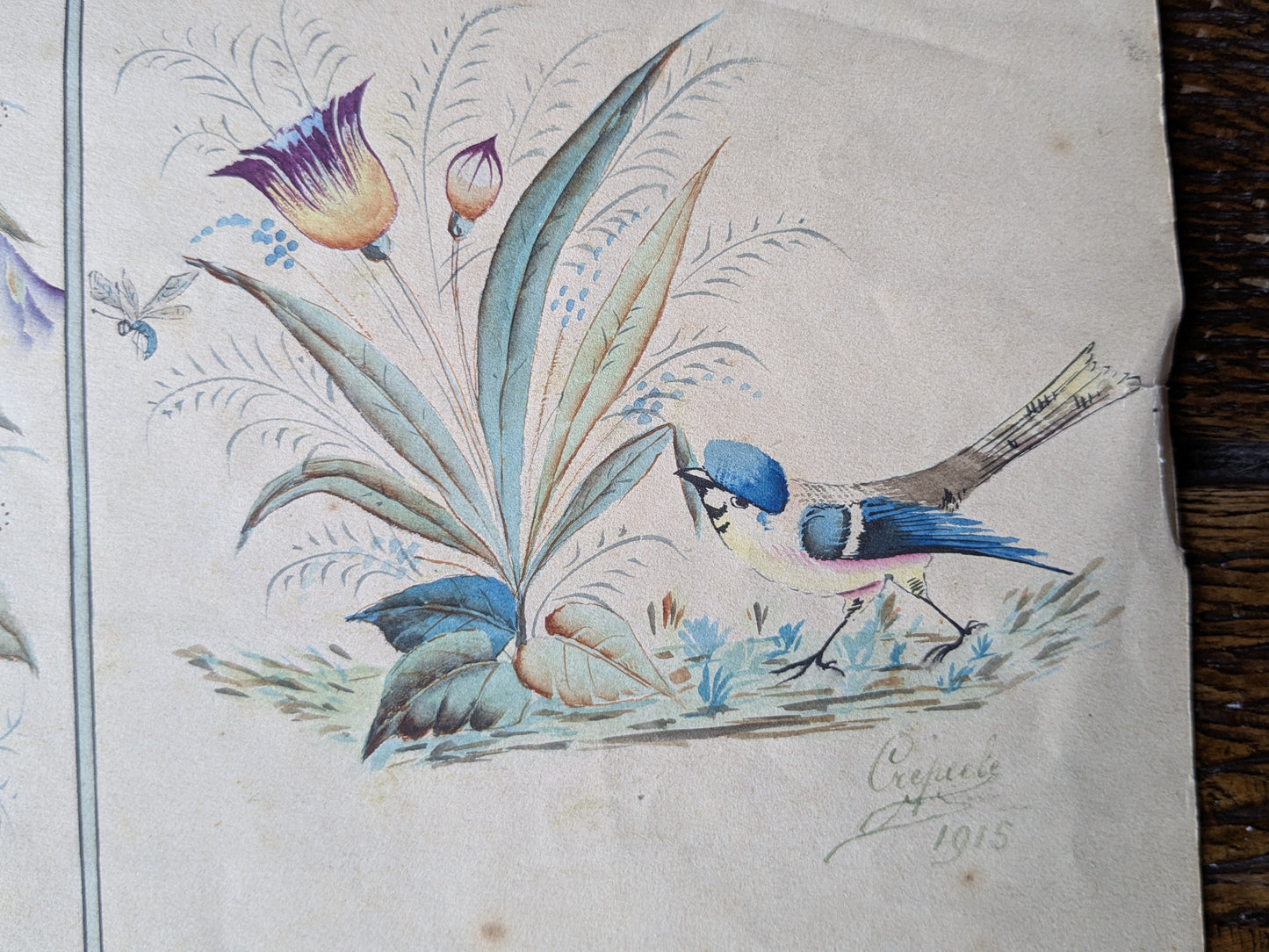 Antique French hand painted pattern design sheet