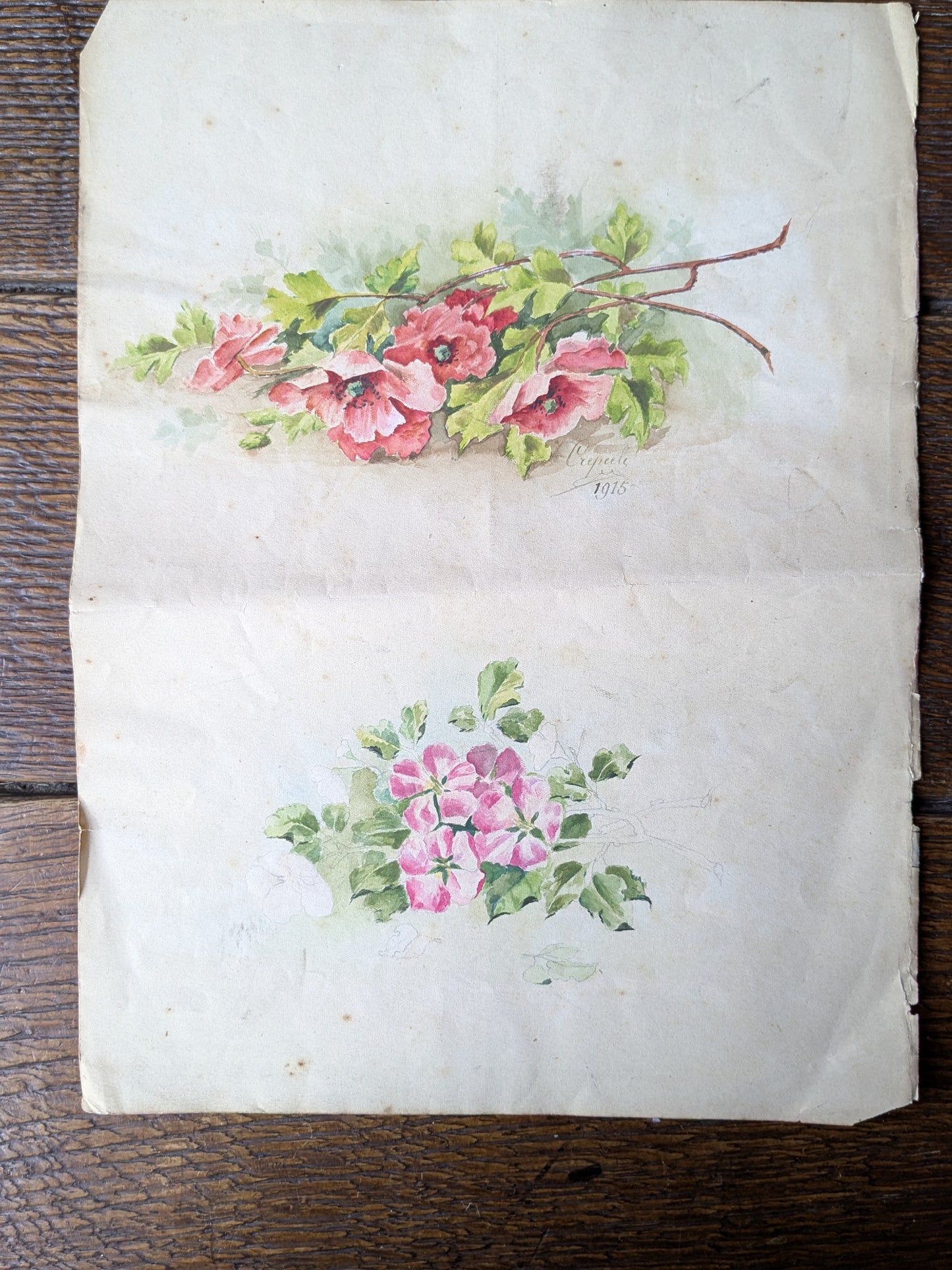 Antique French hand painted pattern design sheet