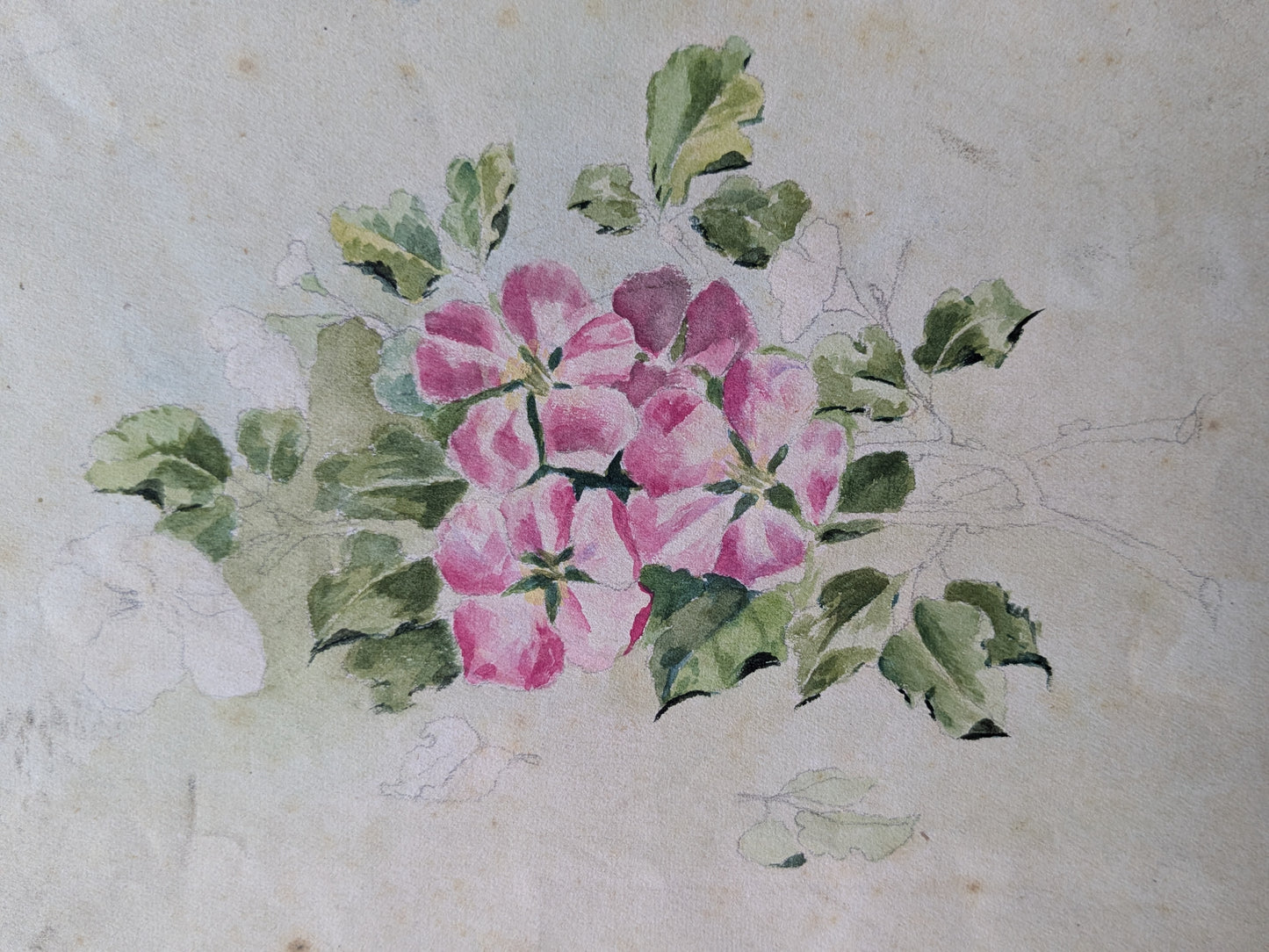 Antique French hand painted pattern design sheet