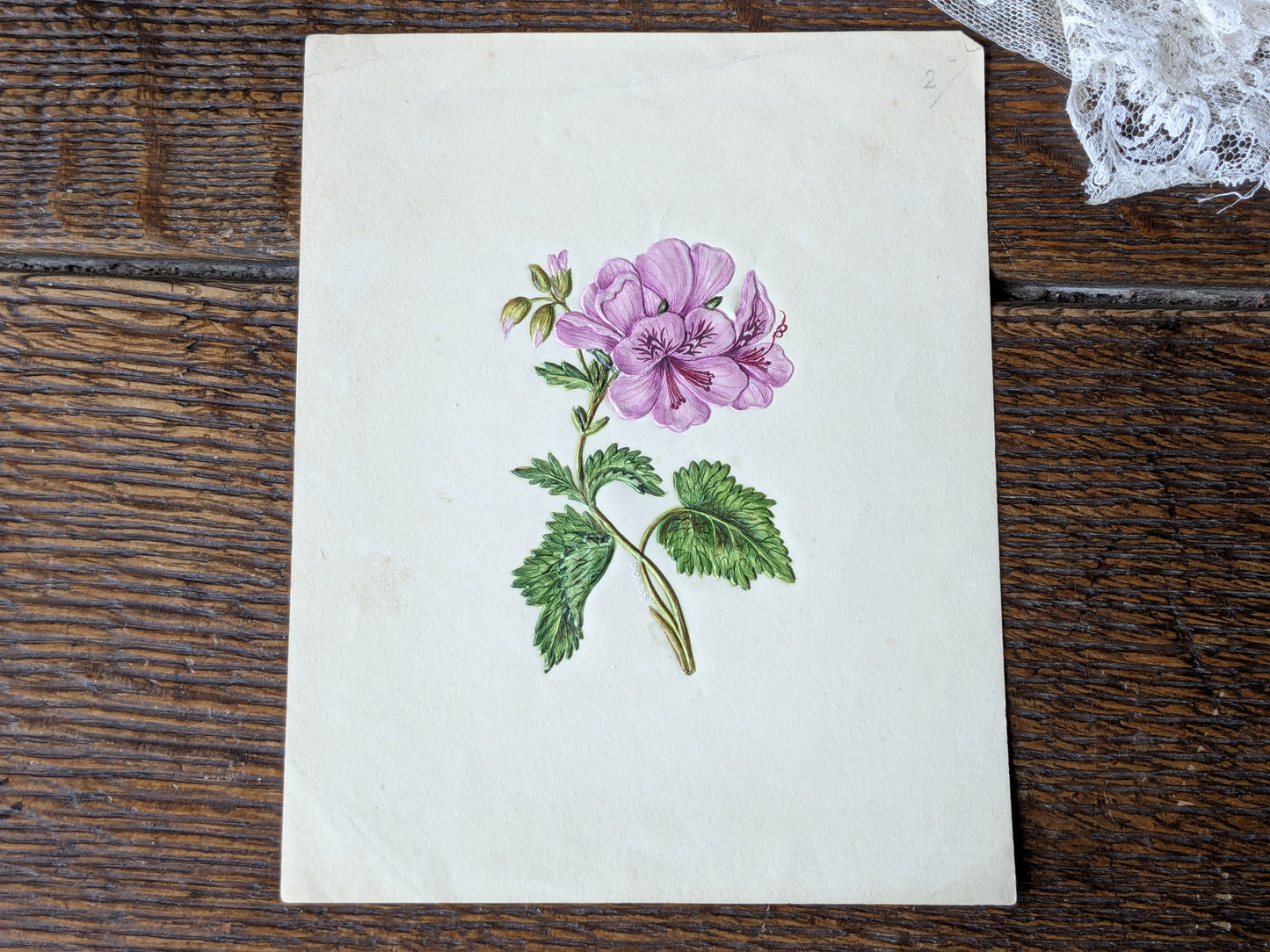 Antique Dobbs embossed paper floral picture