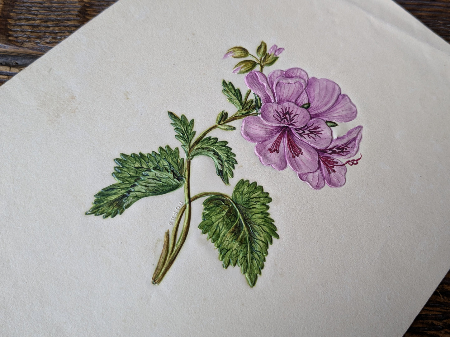 Antique Dobbs embossed paper floral picture