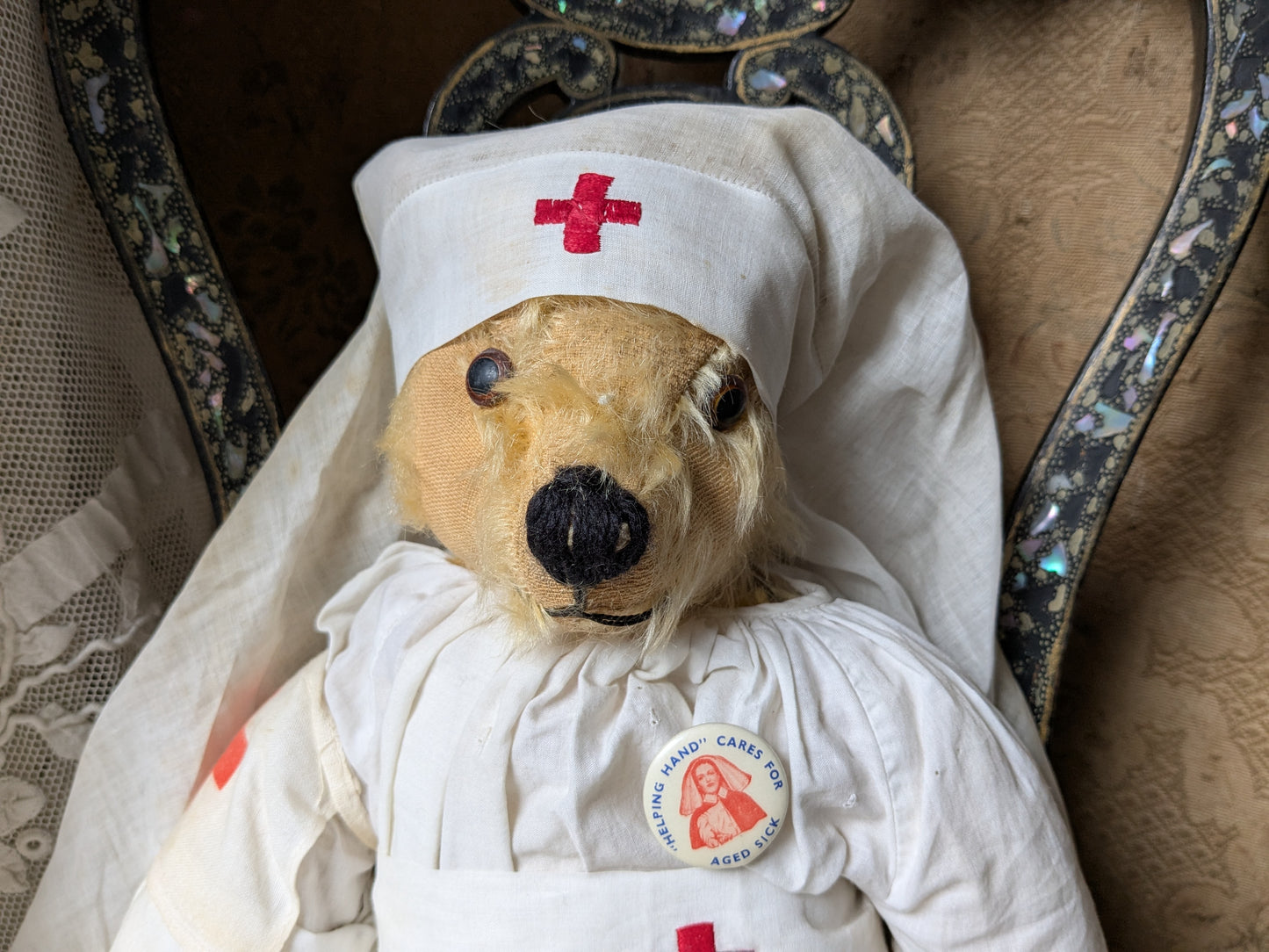 Vintage Pedigree bear dressed as a nurse