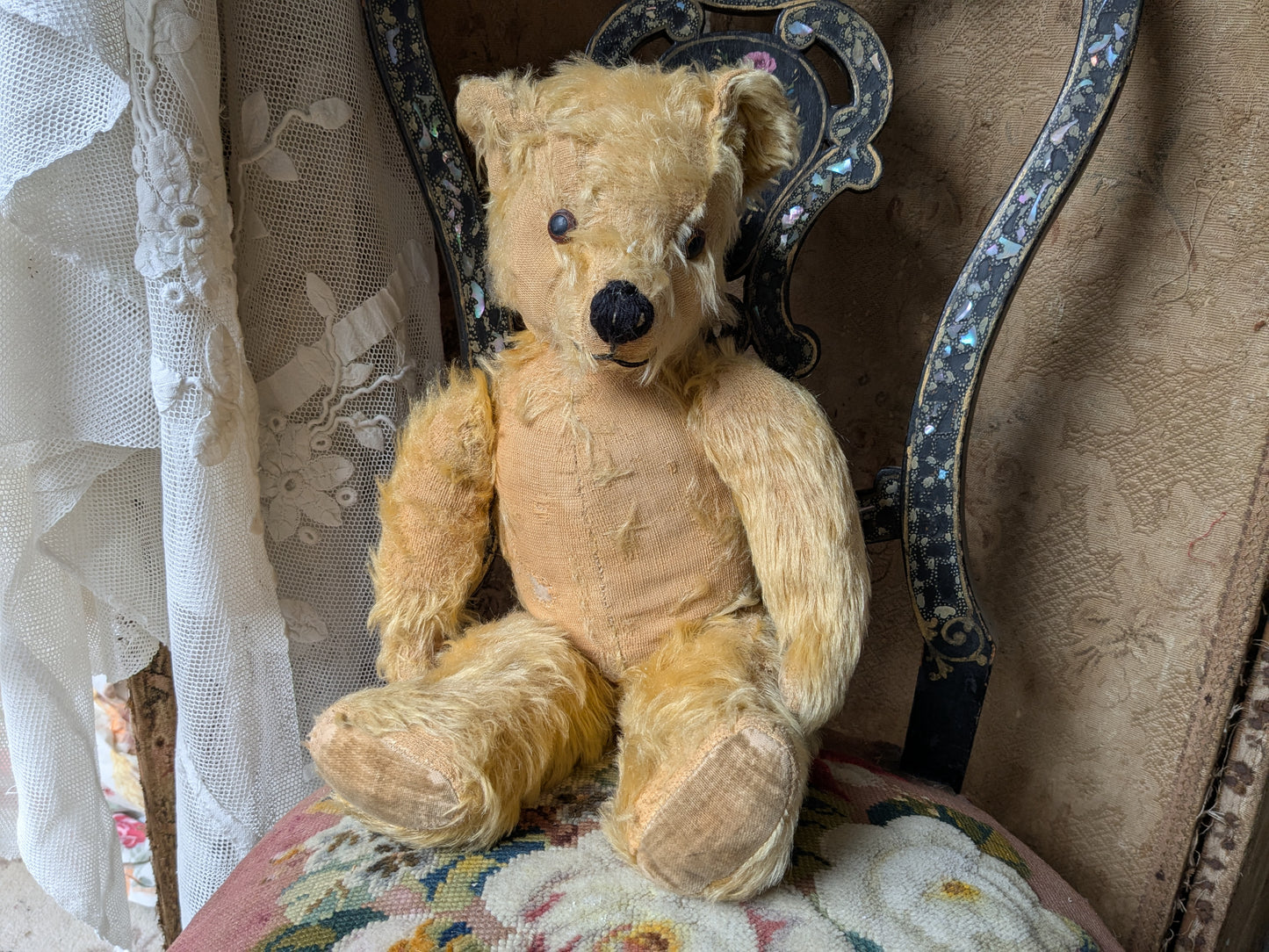 Vintage Pedigree bear dressed as a nurse