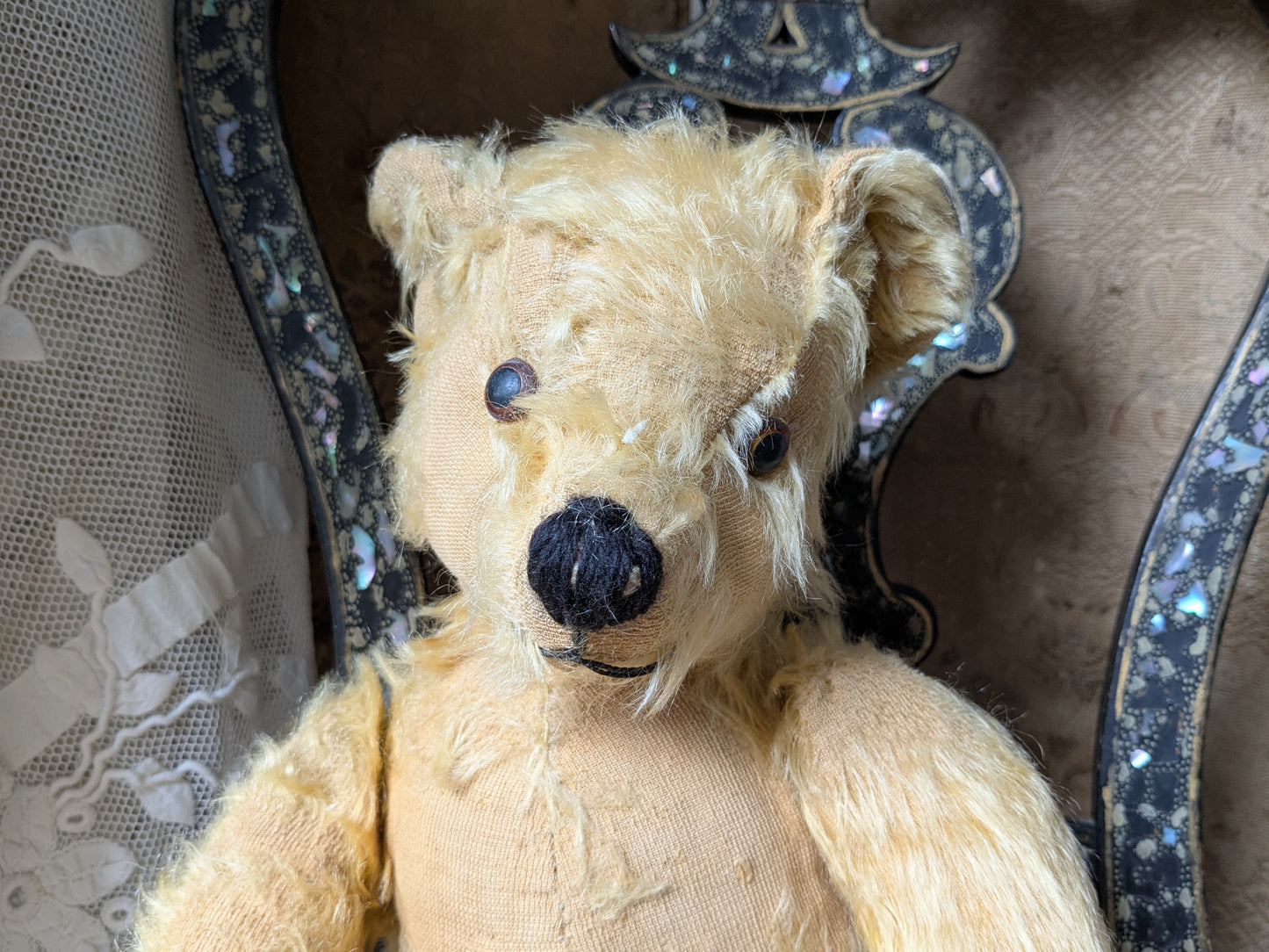 Vintage Pedigree bear dressed as a nurse