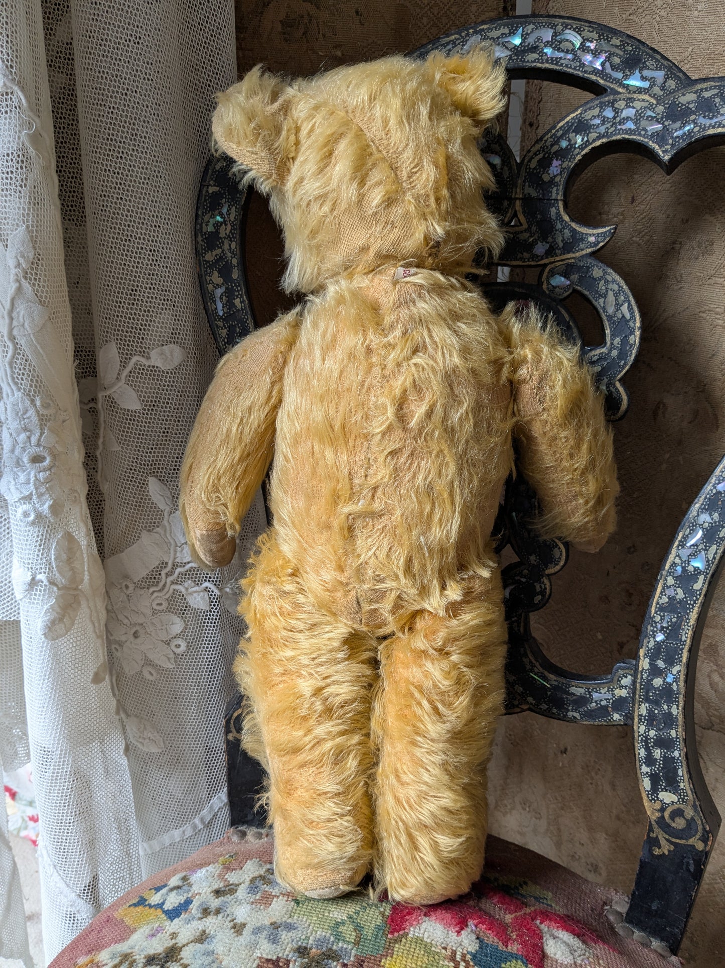 Vintage Pedigree bear dressed as a nurse