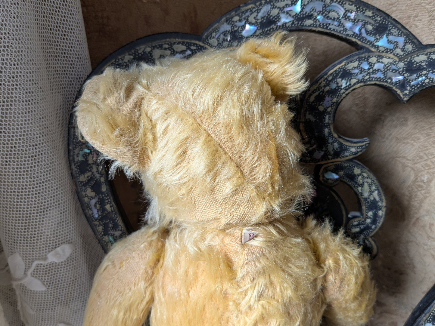 Vintage Pedigree bear dressed as a nurse