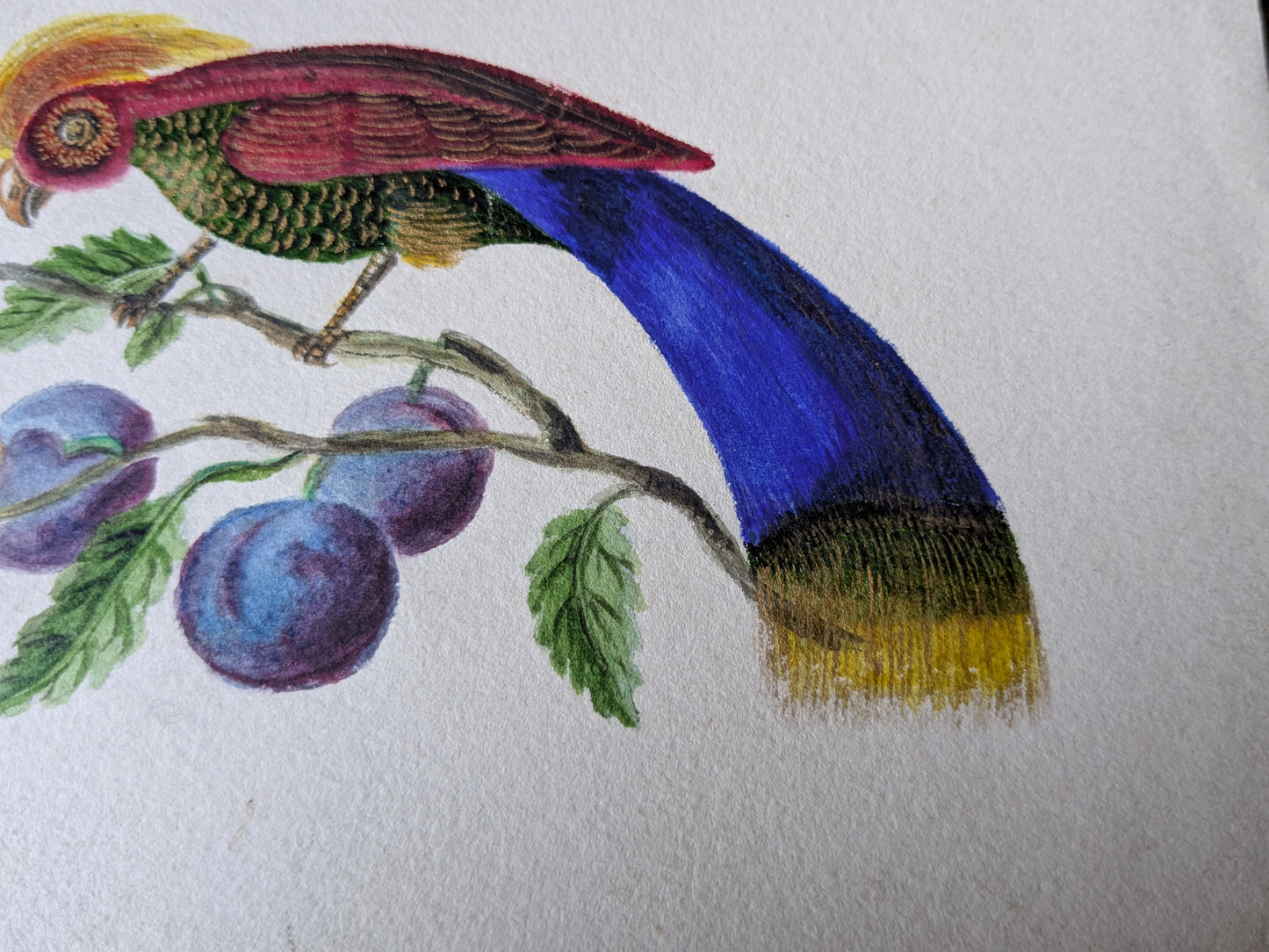 Antique Regency era bird painting