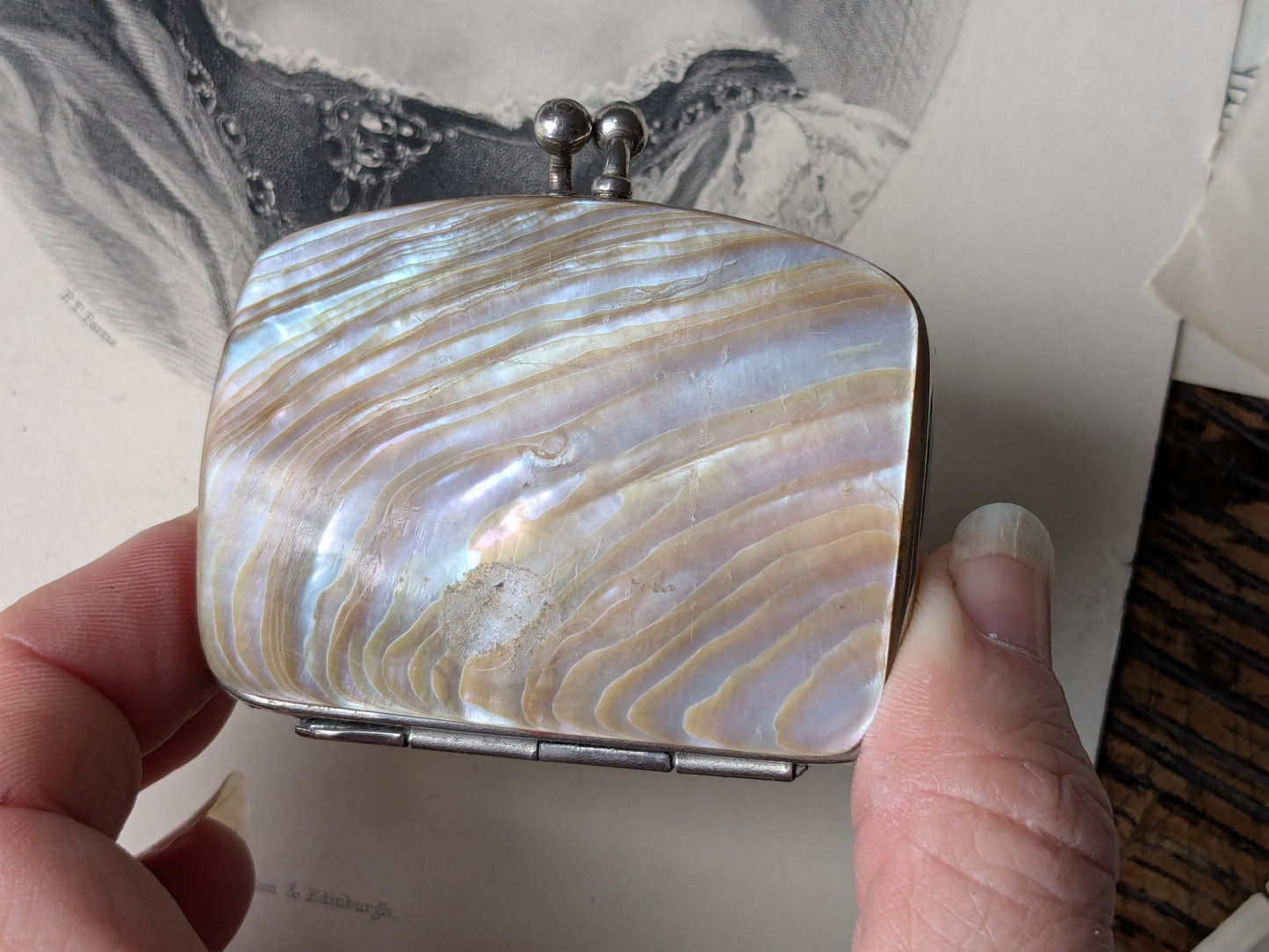 Vintage mother of pearl purse