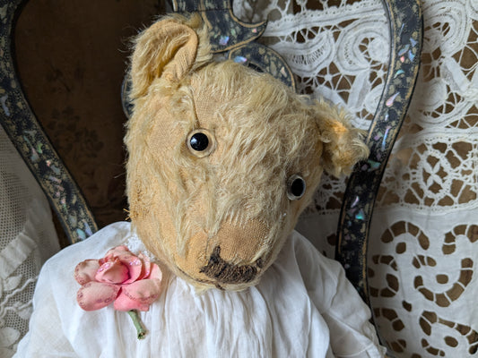 Vintage Chiltern teddy bear in antique dress 20"