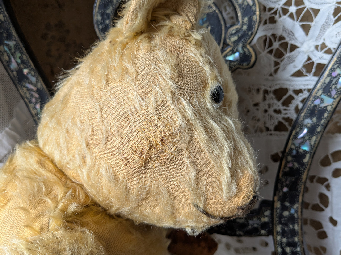Vintage Chiltern teddy bear in antique dress 20"