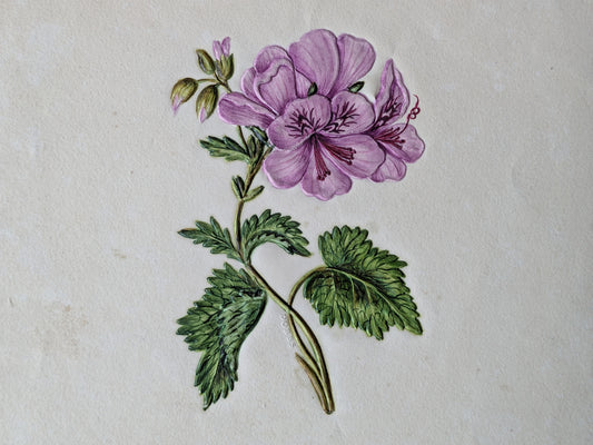 Antique Dobbs embossed paper floral picture
