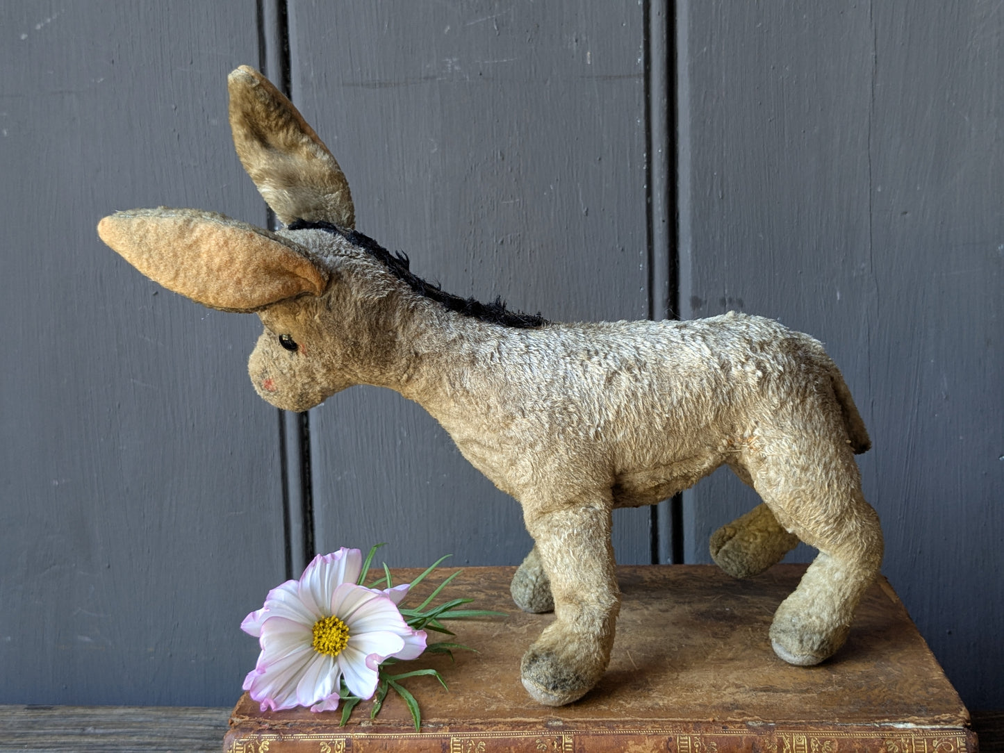 Little toy donkey