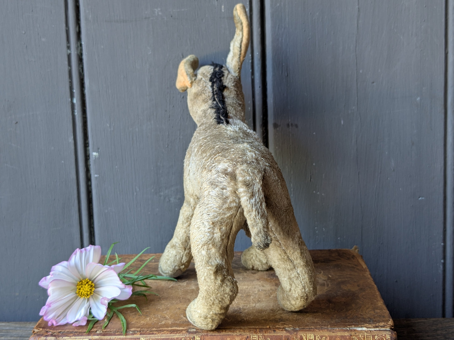 Little toy donkey