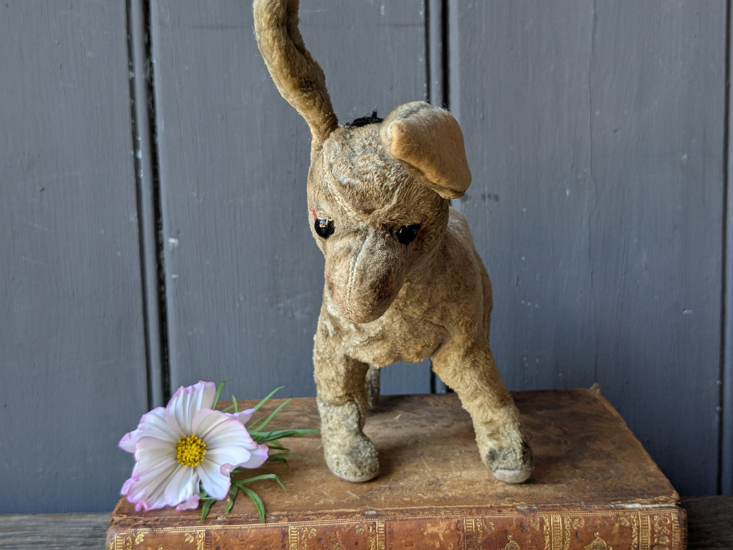 Little toy donkey