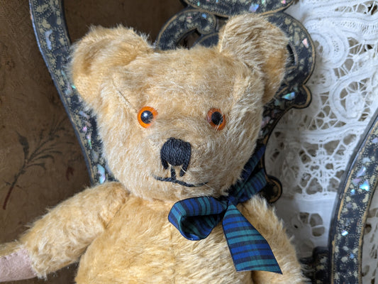 Plump vintage teddy bear