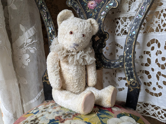 Vintage German white Gokra teddy bear